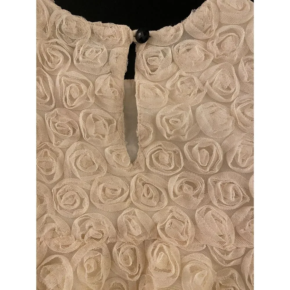 Gap Rosette Holiday Party Dress Toddler Girls 3T Sleeveless Christmas Santa Pics